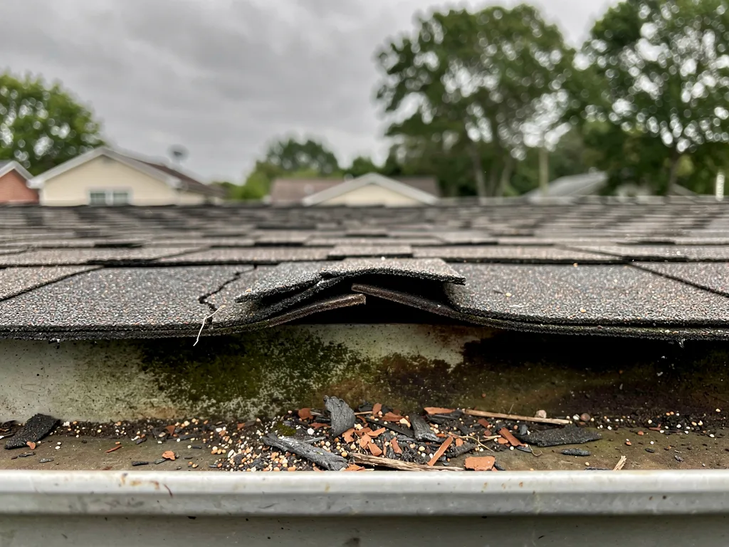 Common roofing warning signs homeowners should know
